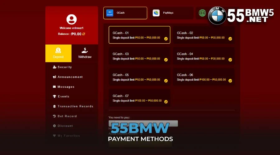 55BMW Payment Methods