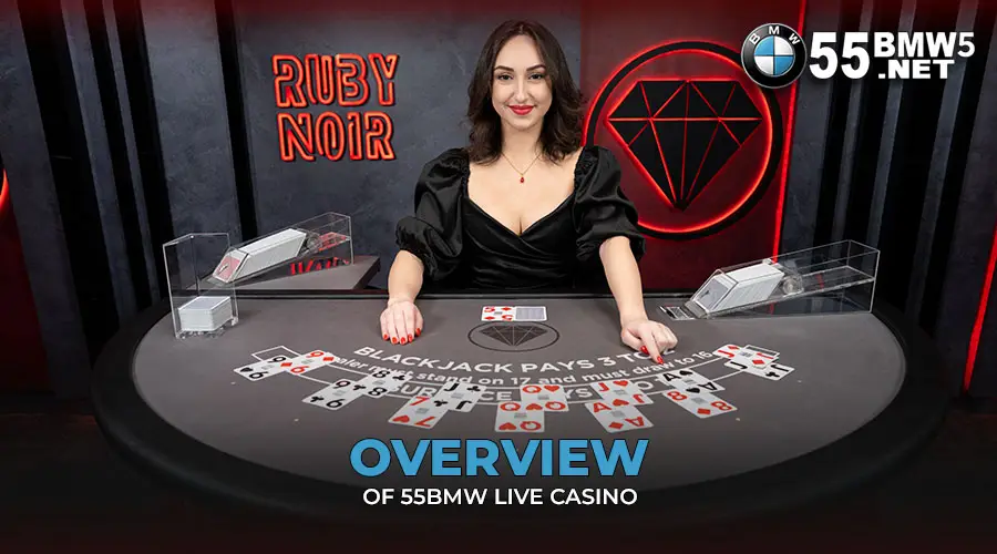 Overview of 55BMW Live Casino