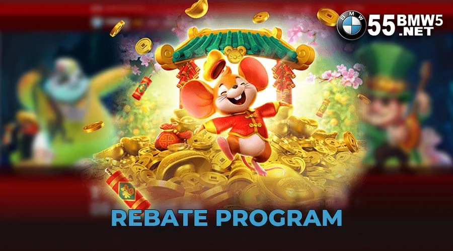 Rebate Program